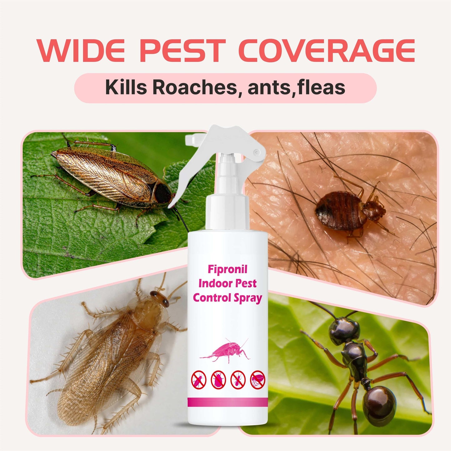 Fipronil Indoor Pest Control Spray 200 ml Pack of 2